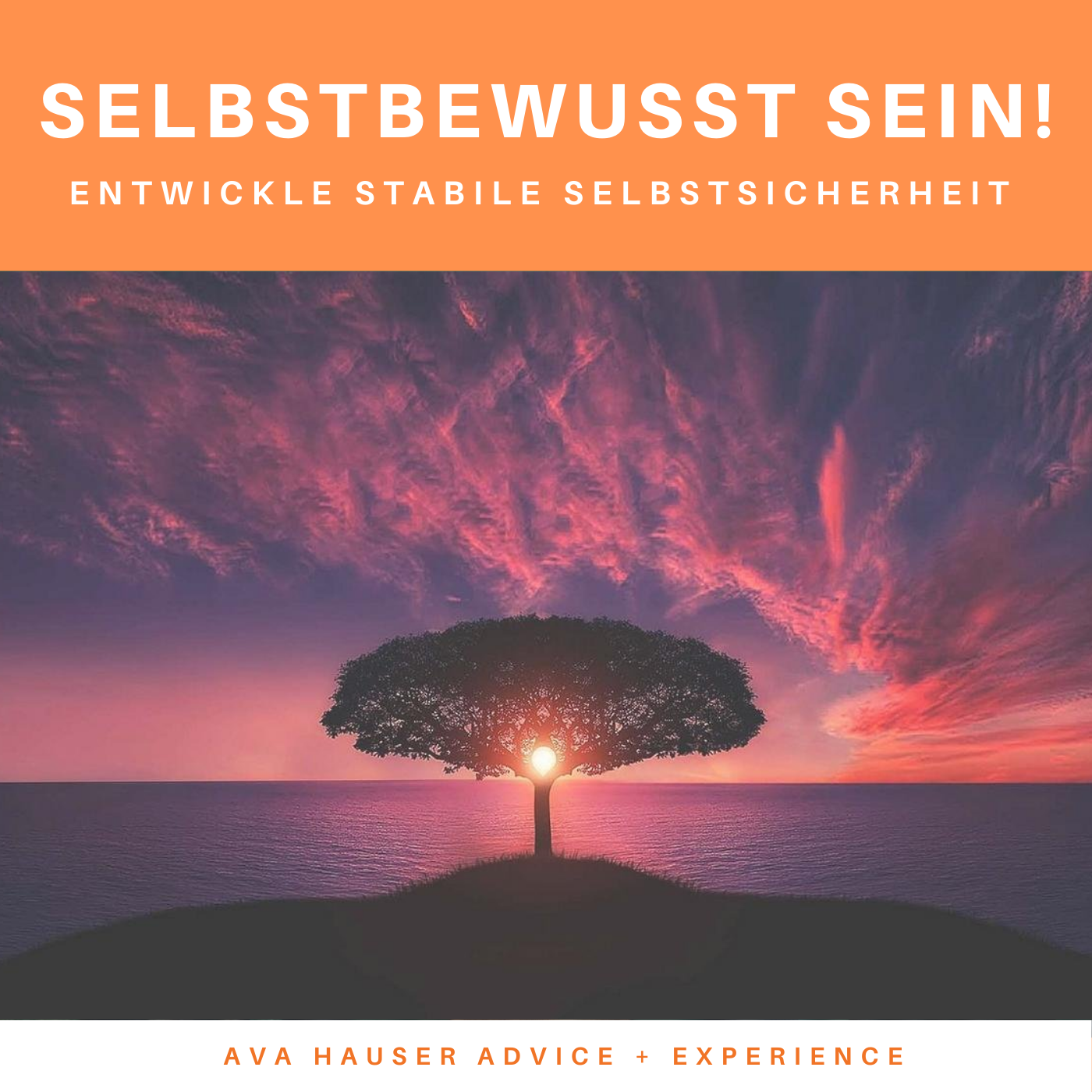 Selbstbewusst sein - Selbstsicherheitstraining - Richtungswechsel-Shop