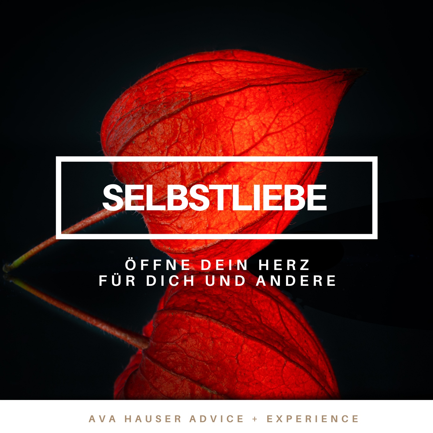 Selbstliebe - Herz öffnen - Meditation - Richtungswechsel-Shop